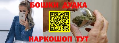 a pvp Славгород