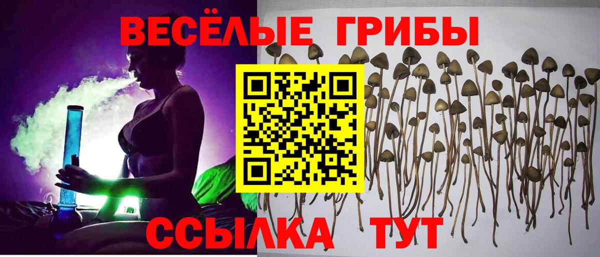 Псилоцибиновые грибы ЛСД Светлоград